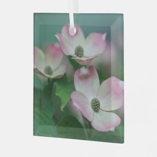 Flowers | Dogwood Blossoms Glas Ornament (Voorkant links)
