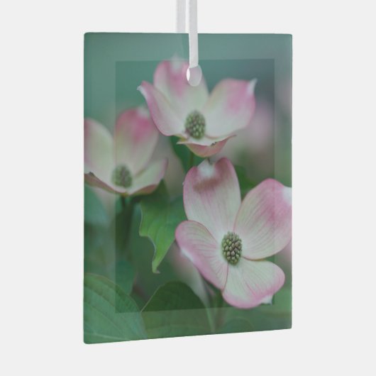 Flowers | Dogwood Blossoms Glas Ornament (Voorkant Rechts)