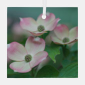 Flowers | Dogwood Blossoms Glas Ornament (Achterkant)