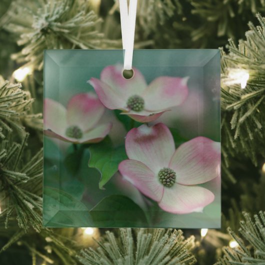 Flowers | Dogwood Blossoms Glas Ornament (Insitu)
