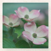 Flowers | Dogwood Blossoms Glazen Onderzetter (Voorkant)