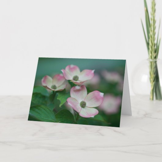Flowers | Dogwood Blossoms Kaart (Voorkant)