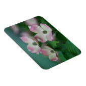 Flowers | Dogwood Blossoms Magneet (Rechterzijde)