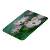 Flowers | Dogwood Blossoms Magneet (Linkerzijde)