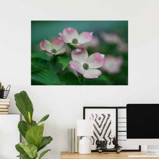 Flowers | Dogwood Blossoms Poster (Thuiskantoor)