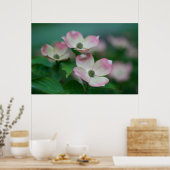 Flowers | Dogwood Blossoms Poster (Keuken)