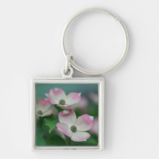 Flowers | Dogwood Blossoms Sleutelhanger (Voorkant)