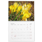 Flowers Fotokalender Kalender (Jan 2027)