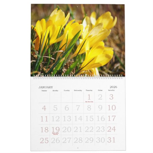 Flowers Fotokalender Kalender (Jan 2026)