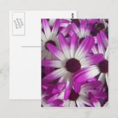 Flowers Galore Briefkaart (Voorkant / Achterkant)