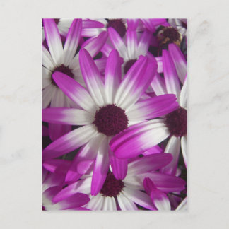 Flowers Galore Briefkaart