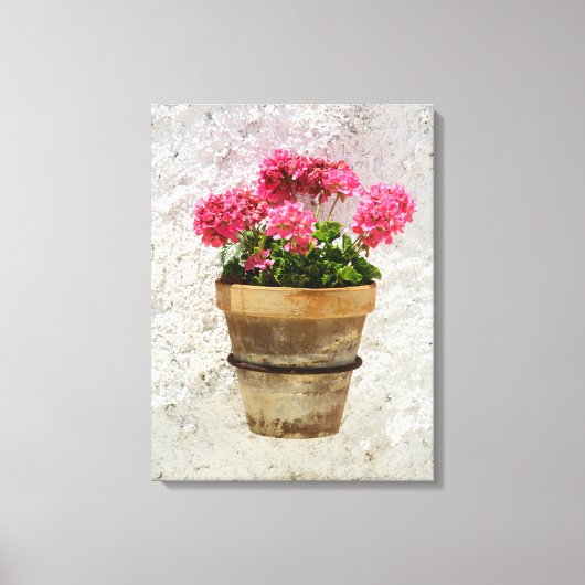 Flowers | Geranium In Flower in Pot Canvas Afdruk (Voorkant)