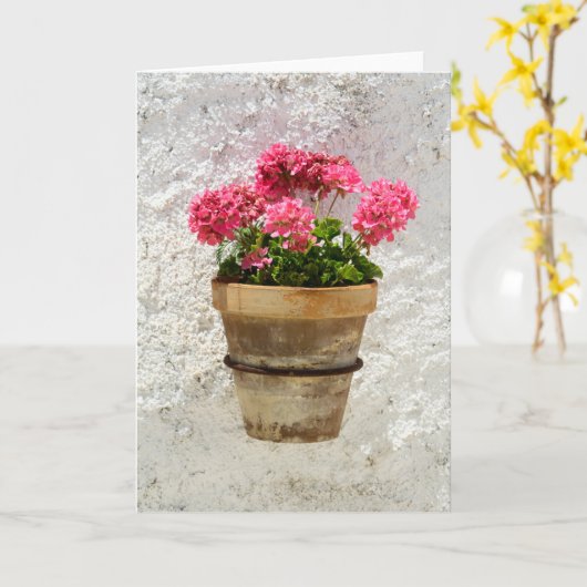 Flowers | Geranium In Flower in Pot Kaart (Gele Bloem)