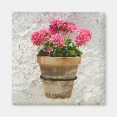 Flowers | Geranium In Flower in Pot Magneet (Voorkant)