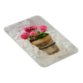 Flowers | Geranium In Flower in Pot Magneet (Rechterzijde)