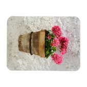 Flowers | Geranium In Flower in Pot Magneet (Horizontaal)