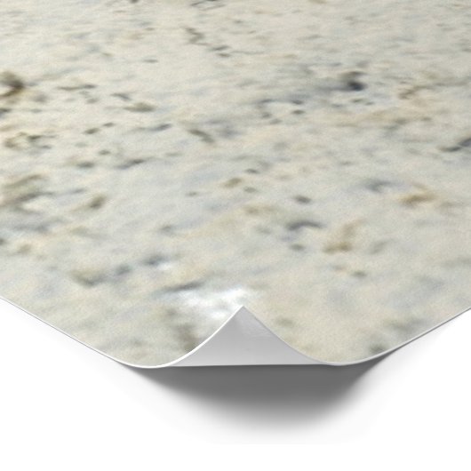 Flowers | Geranium In Flower in Pot Poster (Hoek)