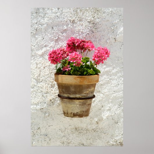 Flowers | Geranium In Flower in Pot Poster (Voorkant)