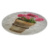 Flowers | Geranium In Flower in Pot Snijplank (Hoek)