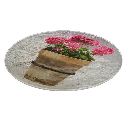 Flowers | Geranium In Flower in Pot Snijplank (Hoek)