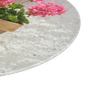 Flowers | Geranium In Flower in Pot Snijplank (Hoek)