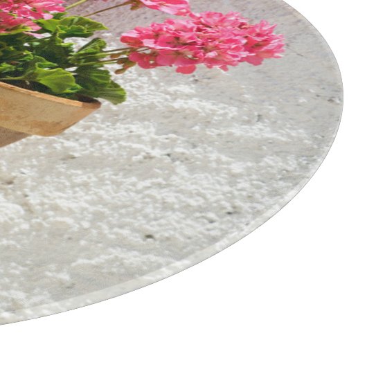 Flowers | Geranium In Flower in Pot Snijplank (Hoek)