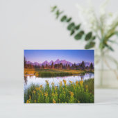 Flowers Grand Teton National Park, Wyoming Briefkaart (Staand voorkant)