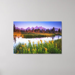 Flowers Grand Teton National Park, Wyoming Canvas Afdruk