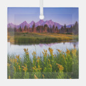 Flowers Grand Teton National Park, Wyoming Glas Ornament (Voorkant)