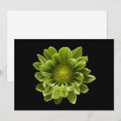 Flowers | Green Chrysanthemum Bedankkaart (Voorkant / Achterkant)