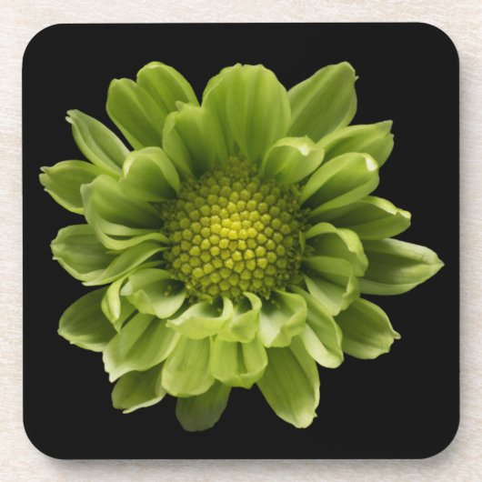 Flowers | Green Chrysanthemum Bier Onderzetter (Voorkant)