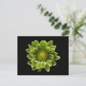 Flowers | Green Chrysanthemum Briefkaart (Staand voorkant)