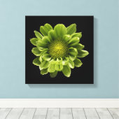 Flowers | Green Chrysanthemum Canvas Afdruk (Insitu (Houten vloer))