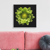 Flowers | Green Chrysanthemum Canvas Afdruk (Insitu (Woonkamer))