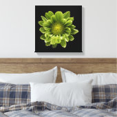 Flowers | Green Chrysanthemum Canvas Afdruk (Insitu (Slaapkamer))