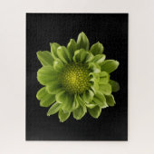 Flowers | Green Chrysanthemum Legpuzzel (Verticaal)