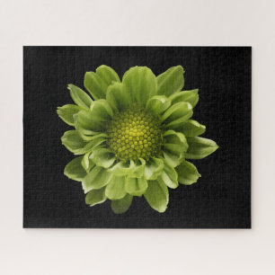Flowers Green Chrysanthemum Legpuzzel