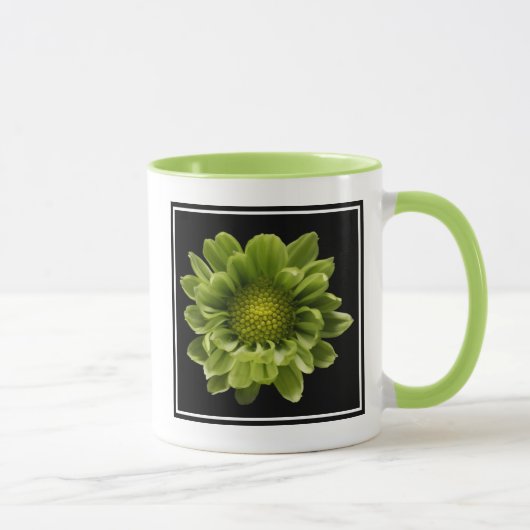 Flowers | Green Chrysanthemum Mok (Rechts)