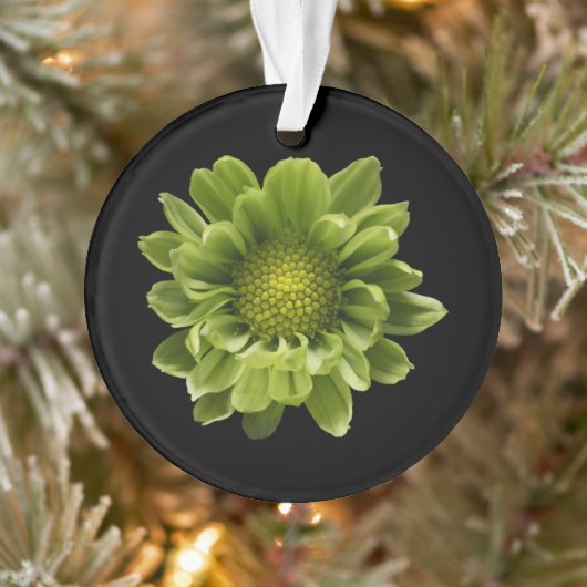 Flowers | Green Chrysanthemum Ornament (Boom)
