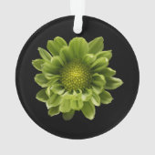 Flowers | Green Chrysanthemum Ornament (achterkant)