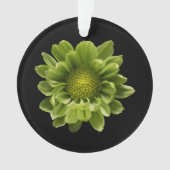 Flowers | Green Chrysanthemum Ornament (voorkant)