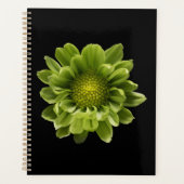 Flowers | Green Chrysanthemum Planner (Voorkant)