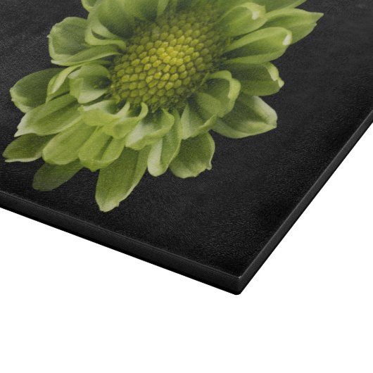 Flowers | Green Chrysanthemum Snijplank (Hoek)