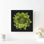 Flowers | Green Chrysanthemum Vierkante Klok (Huis)
