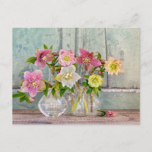 Flowers Hellebores in Vases Briefkaart