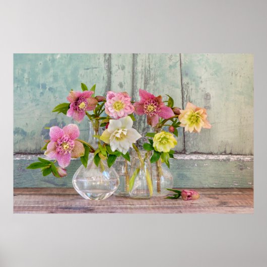 Flowers | Hellebores in Vases Poster (Voorkant)
