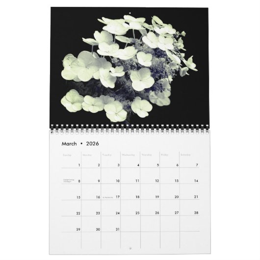 Flowers In Black And White Kalender (Mar 2026)
