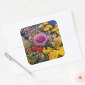 Flowers in December 2005 Vierkante Sticker (Envelop)