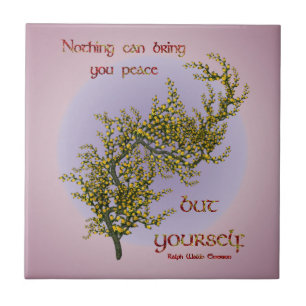 Flowers Inner Peace Inspirerend Quote Tegeltje