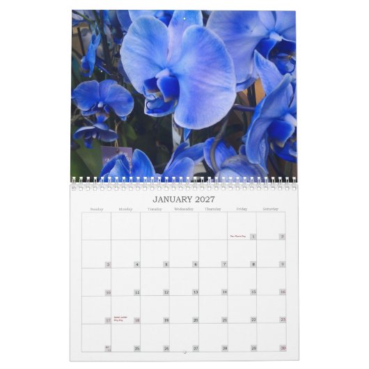 Flowers kalender voor 2013 (Jan 2027)